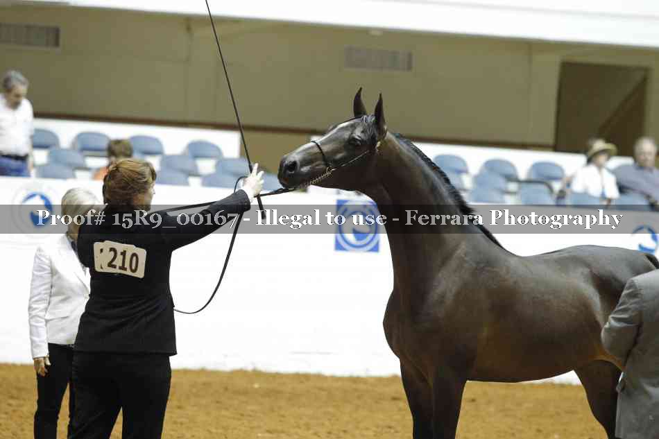 Proof 15R9_00167
