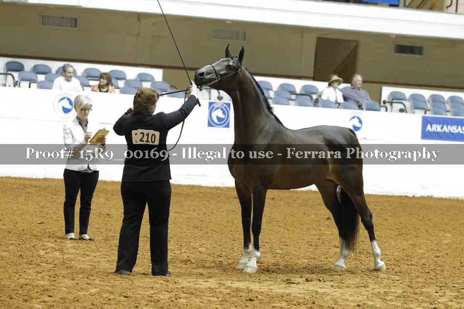 Proof 15R9_00169