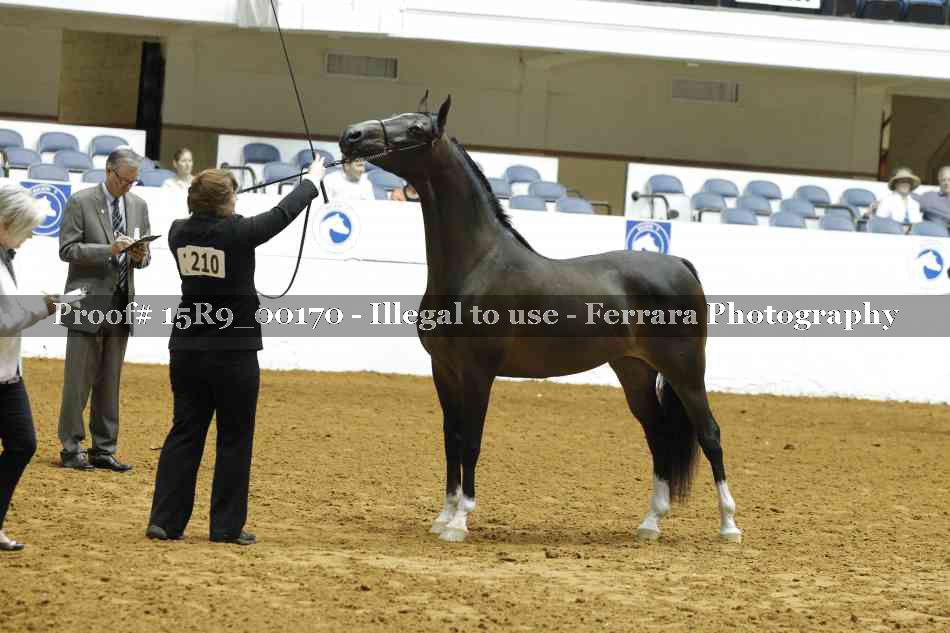 Proof 15R9_00170