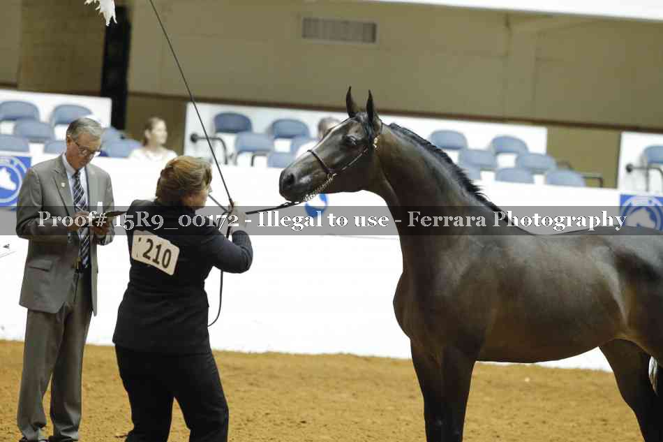 Proof 15R9_00172