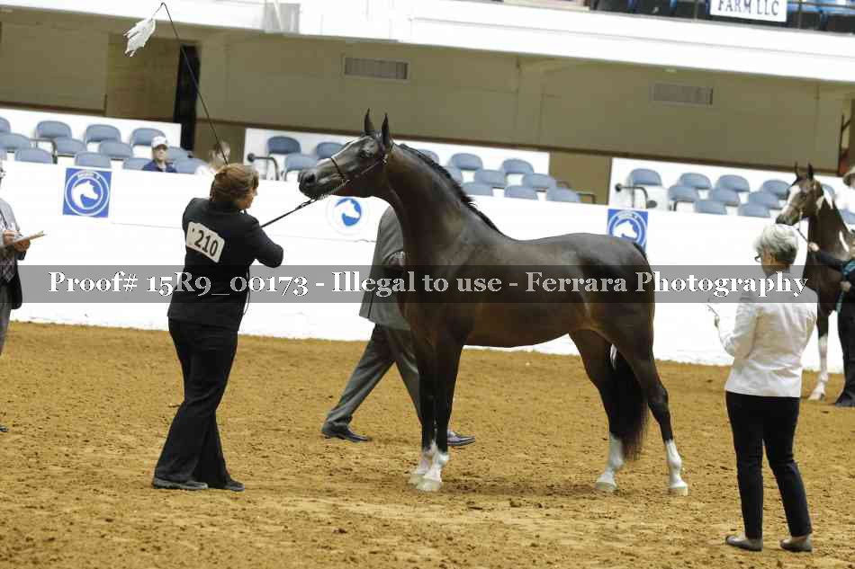 Proof 15R9_00173
