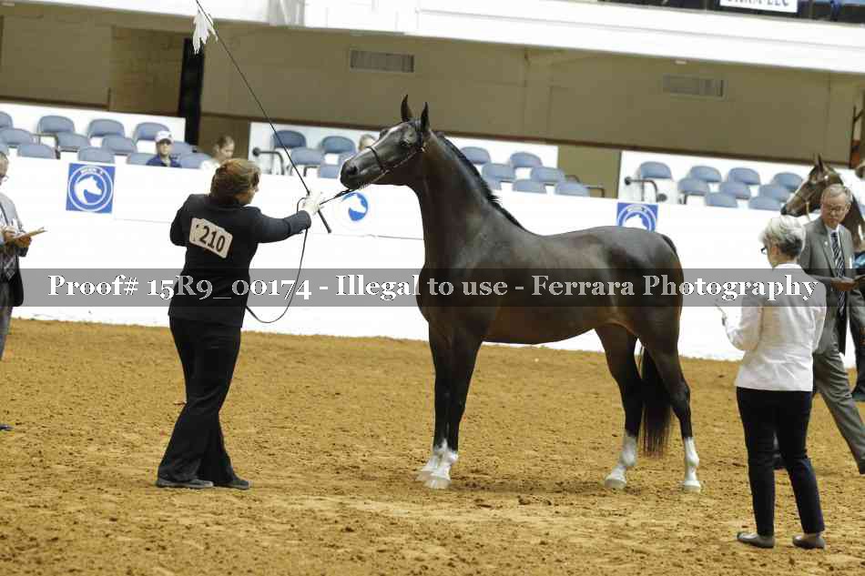 Proof 15R9_00174