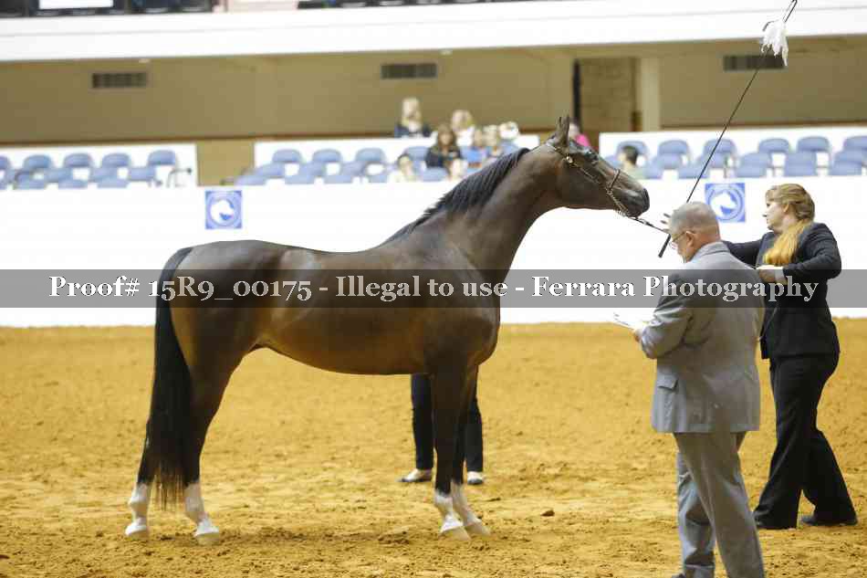 Proof 15R9_00175