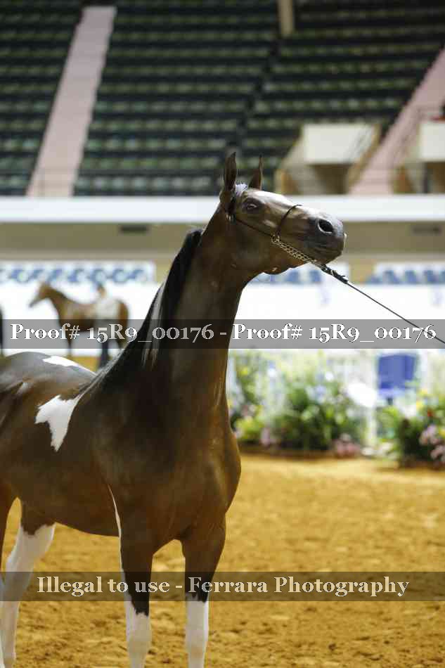 Proof 15R9_00176