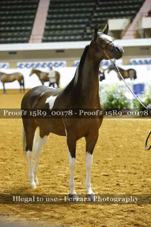 Proof 15R9_00178