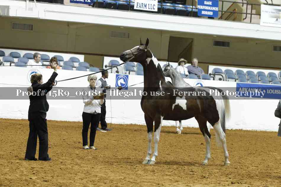Proof 15R9_00181