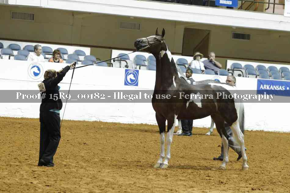 Proof 15R9_00182