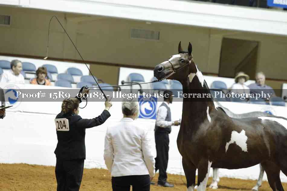 Proof 15R9_00183
