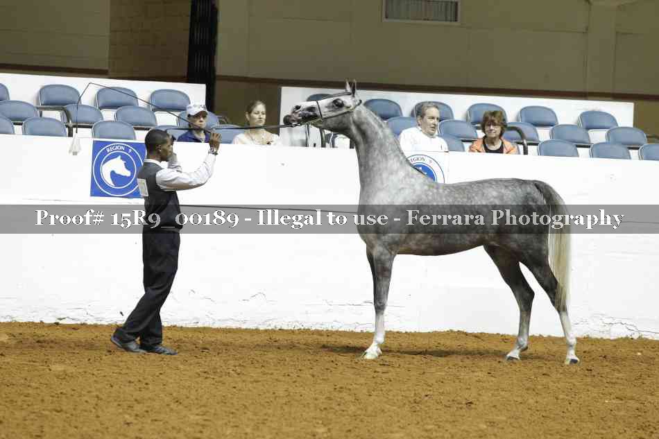 Proof 15R9_00189