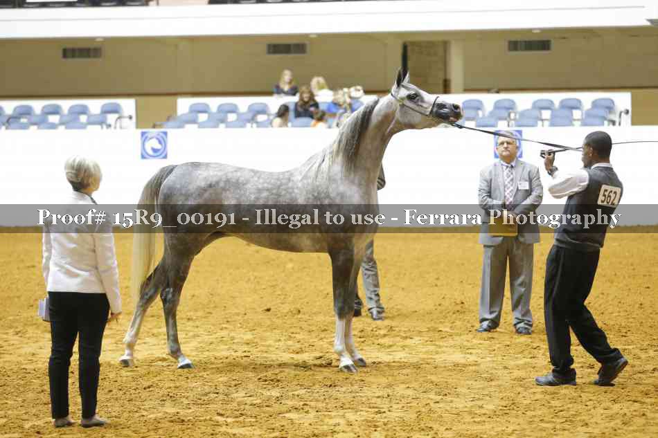 Proof 15R9_00191