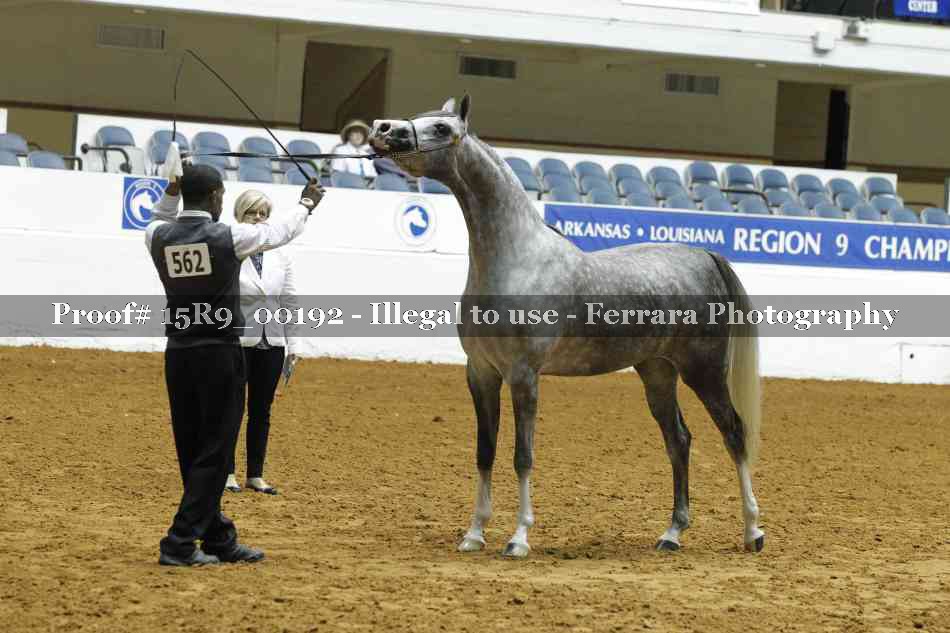 Proof 15R9_00192
