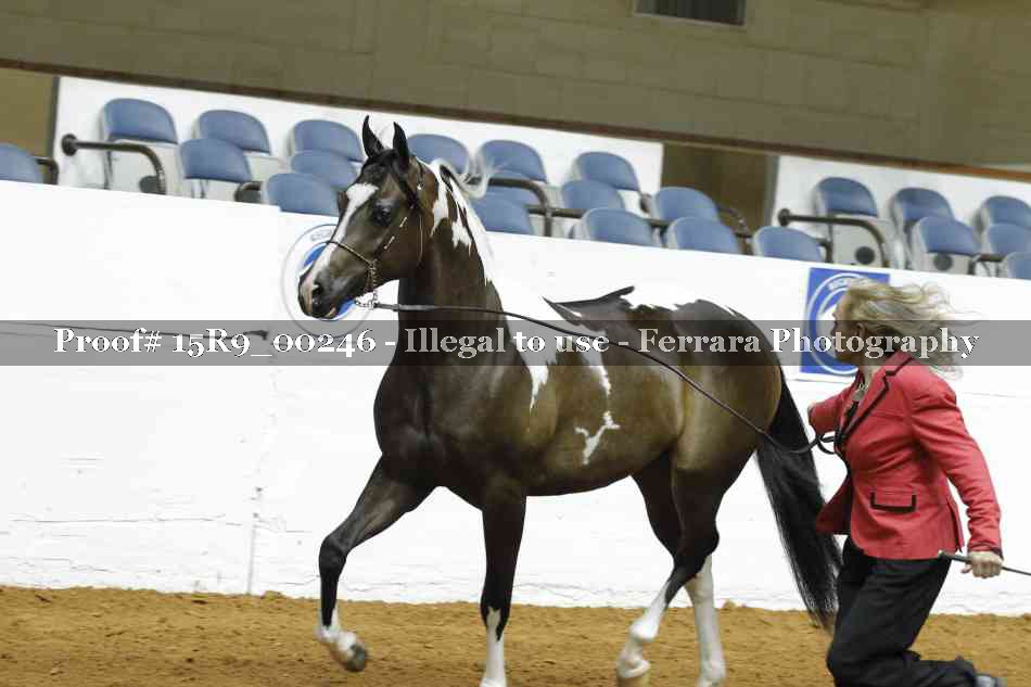 Proof 15R9_00246