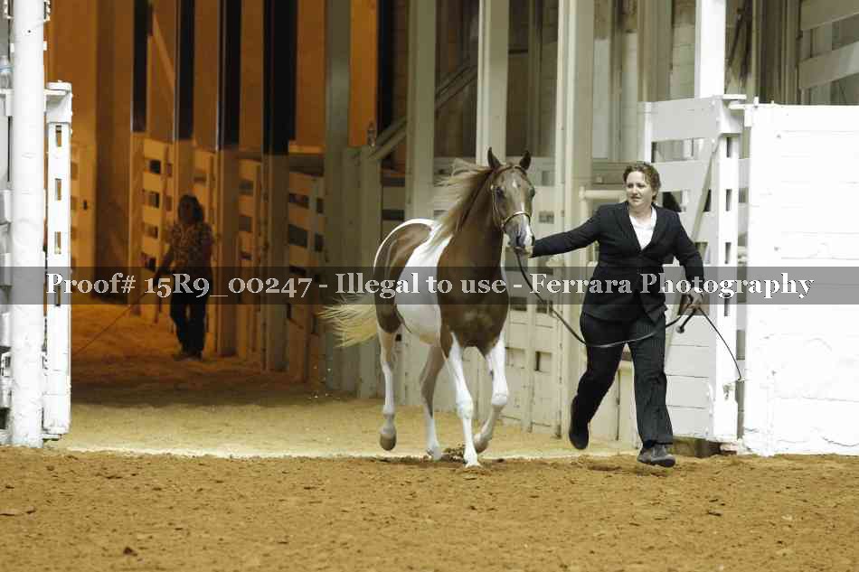 Proof 15R9_00247
