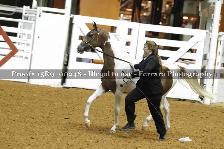 Proof 15R9_00248