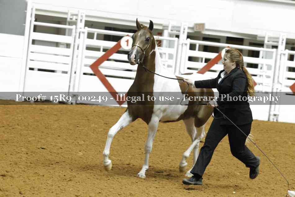 Proof 15R9_00249