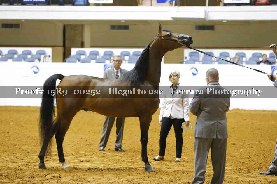 Proof 15R9_00252