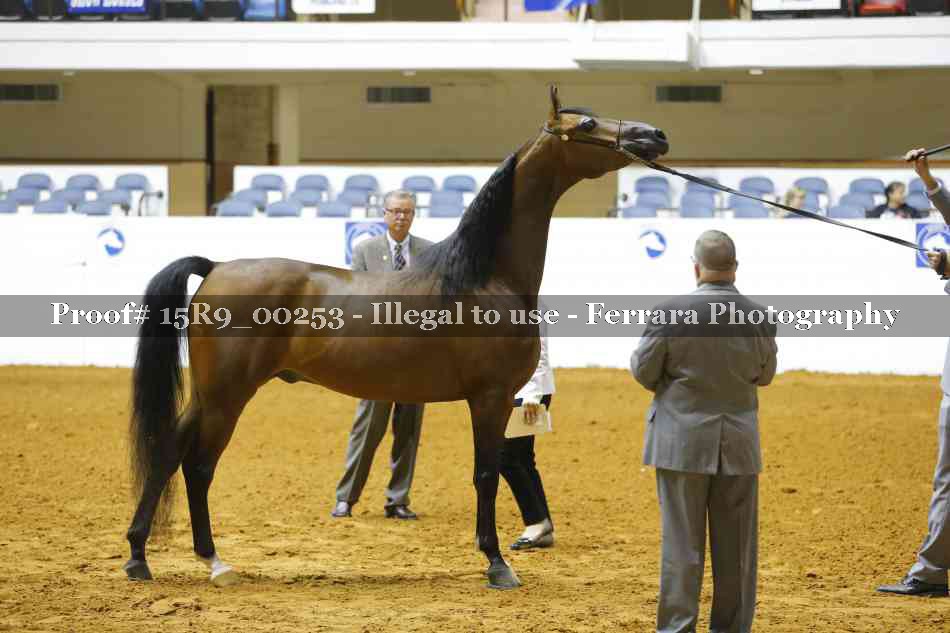 Proof 15R9_00253