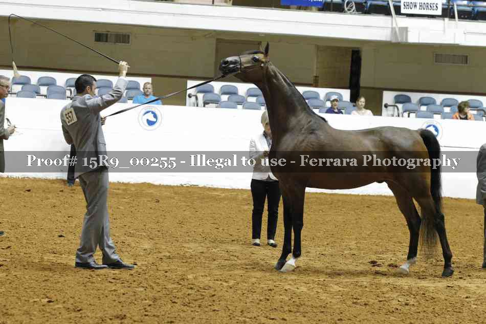 Proof 15R9_00255