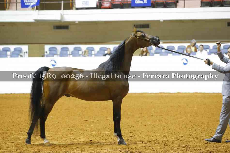 Proof 15R9_00256