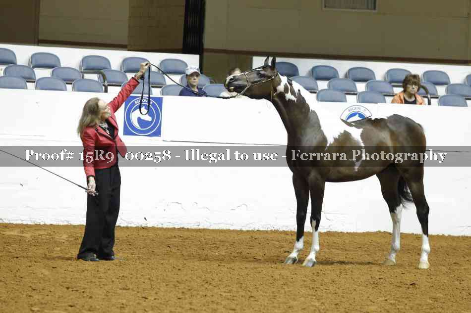 Proof 15R9_00258