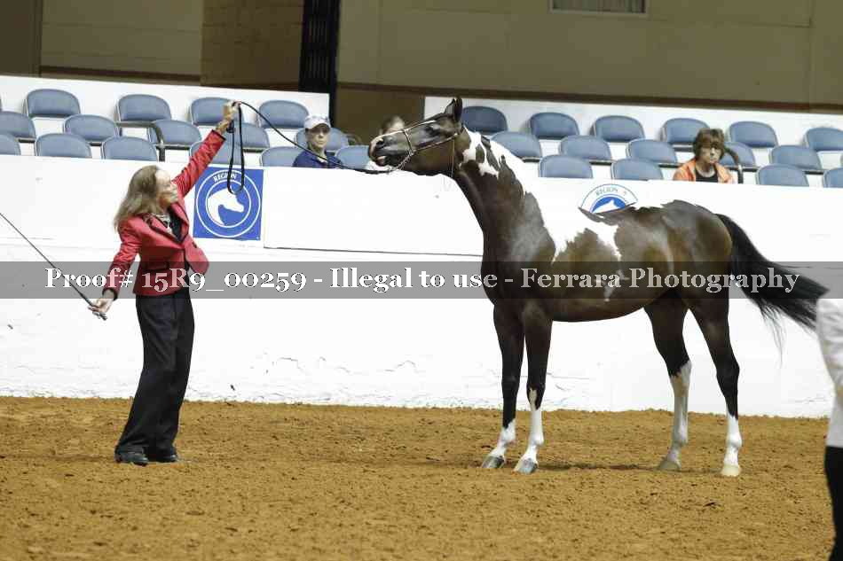 Proof 15R9_00259