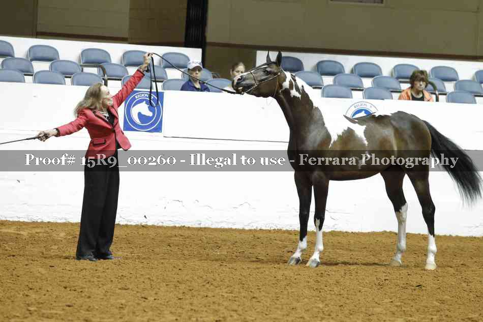 Proof 15R9_00260