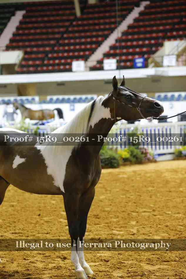 Proof 15R9_00261