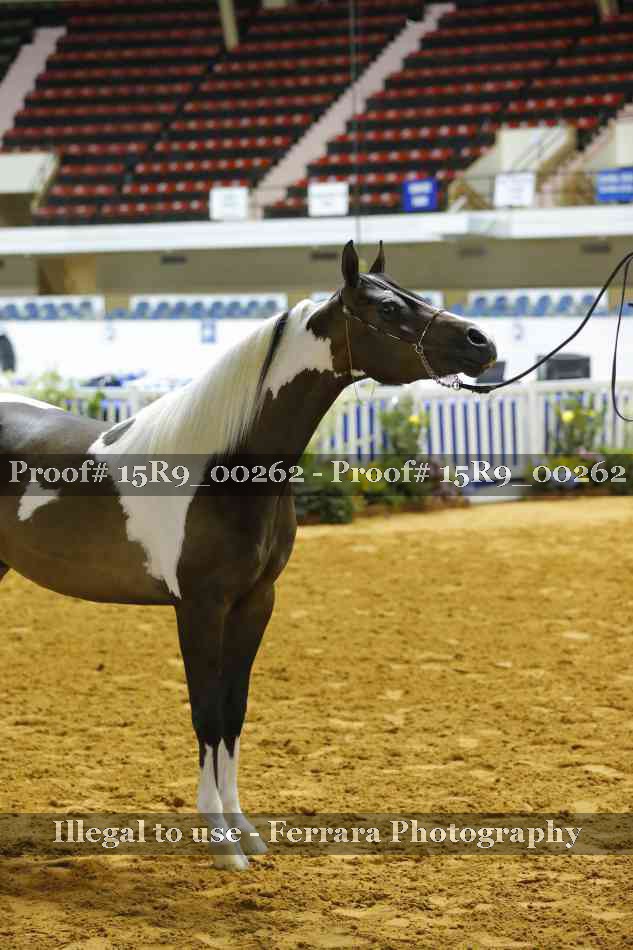 Proof 15R9_00262