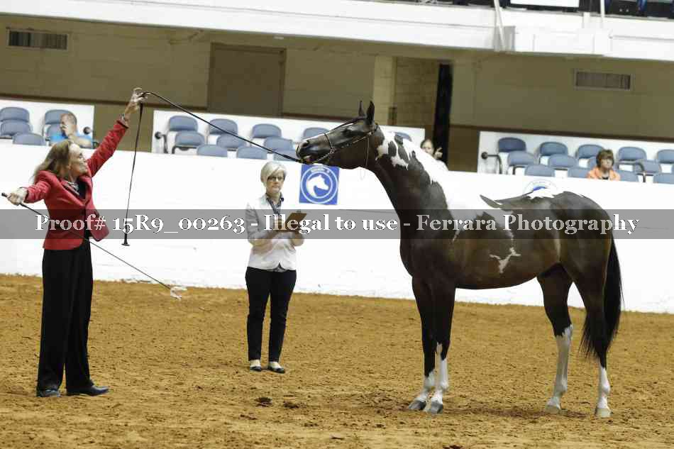 Proof 15R9_00263
