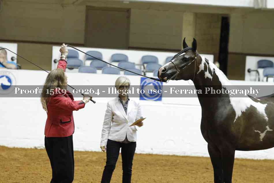Proof 15R9_00264