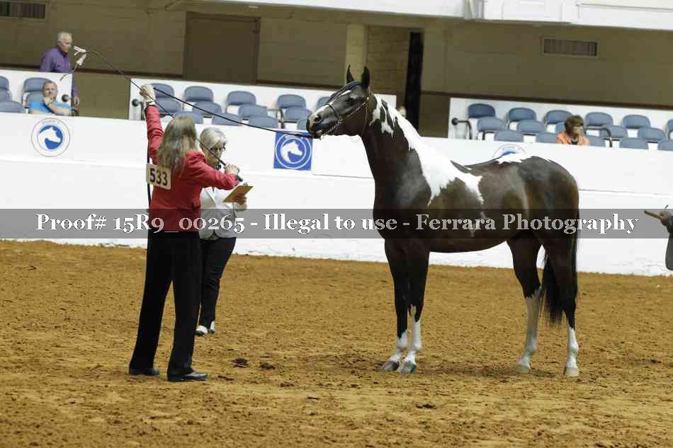 Proof 15R9_00265