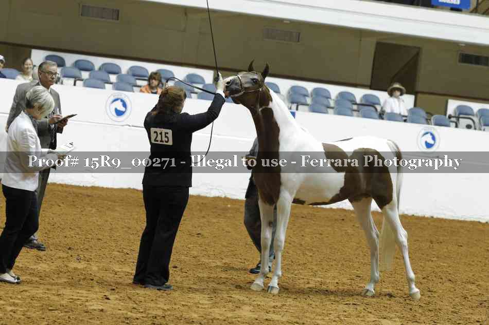 Proof 15R9_00271