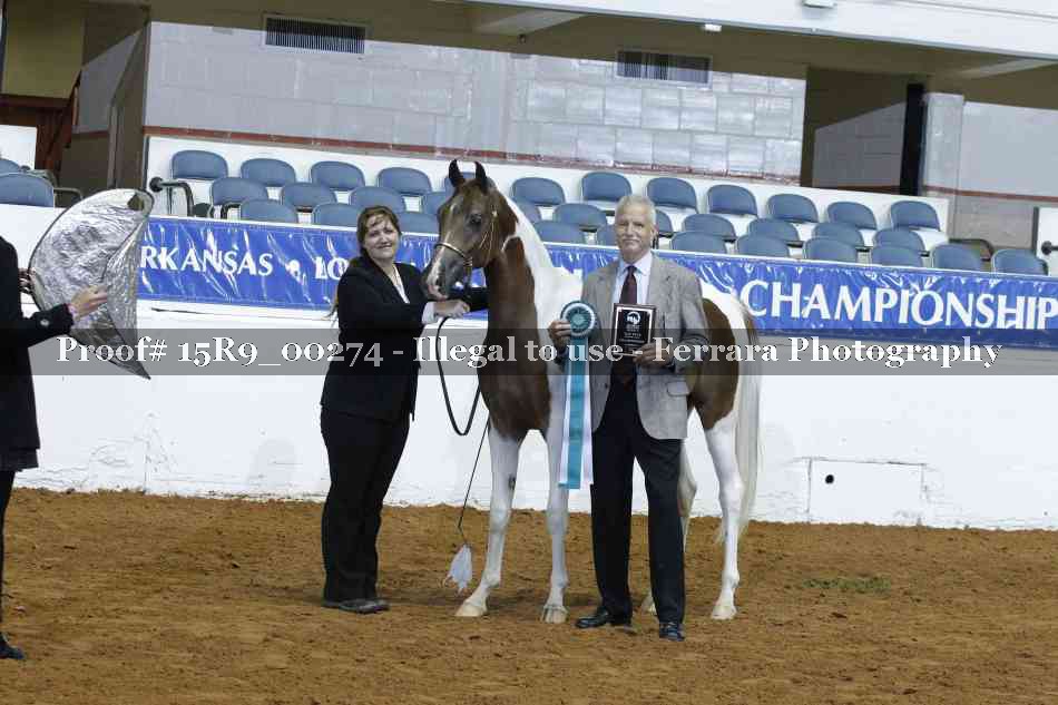 Proof 15R9_00274