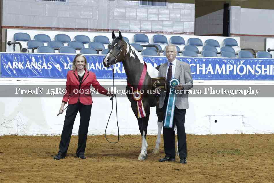 Proof 15R9_00281