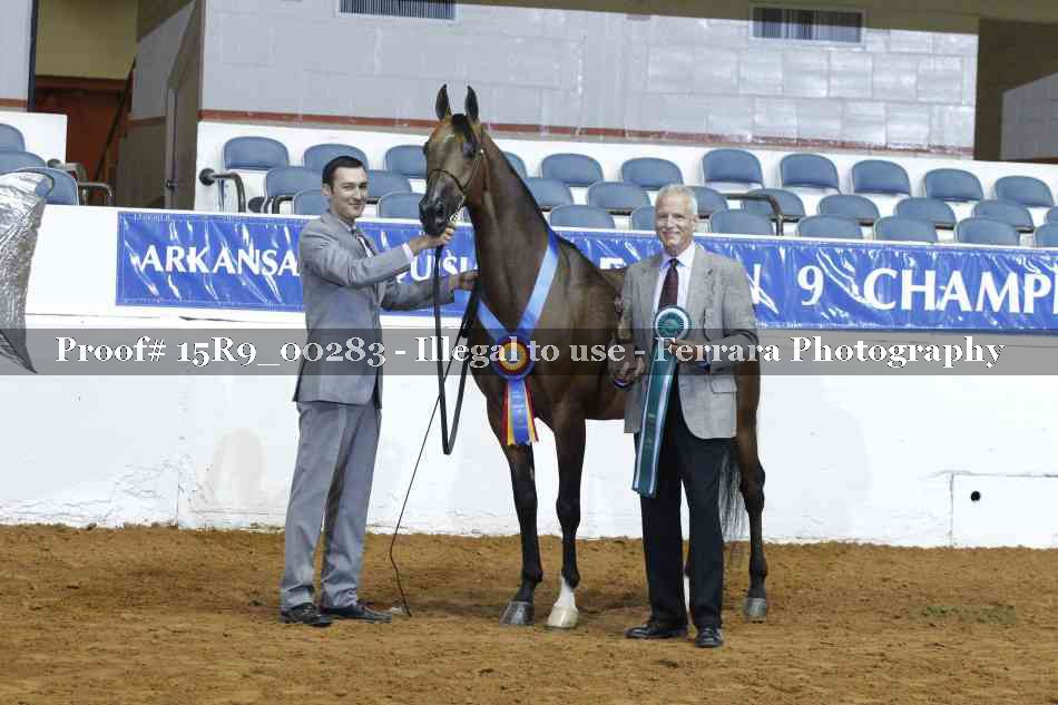 Proof 15R9_00283