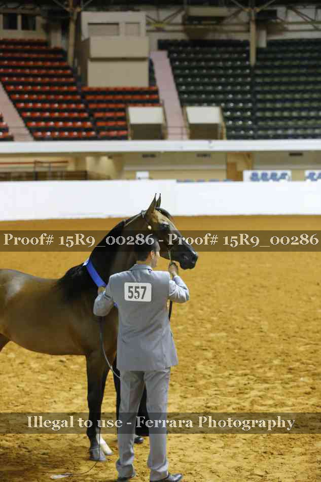 Proof 15R9_00286