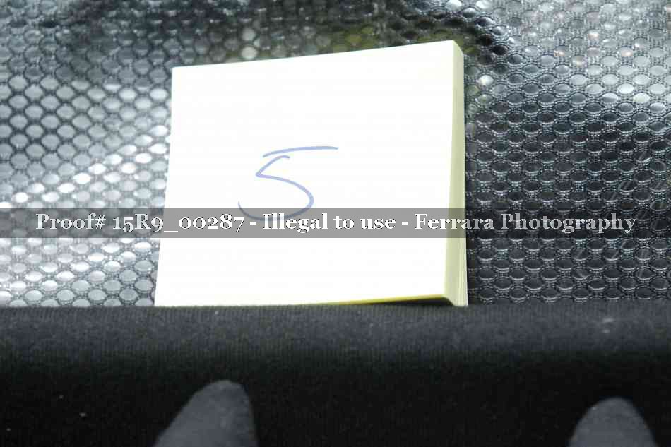Proof 15R9_00287