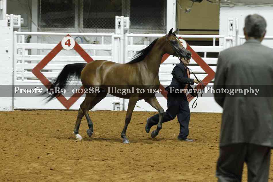 Proof 15R9_00288