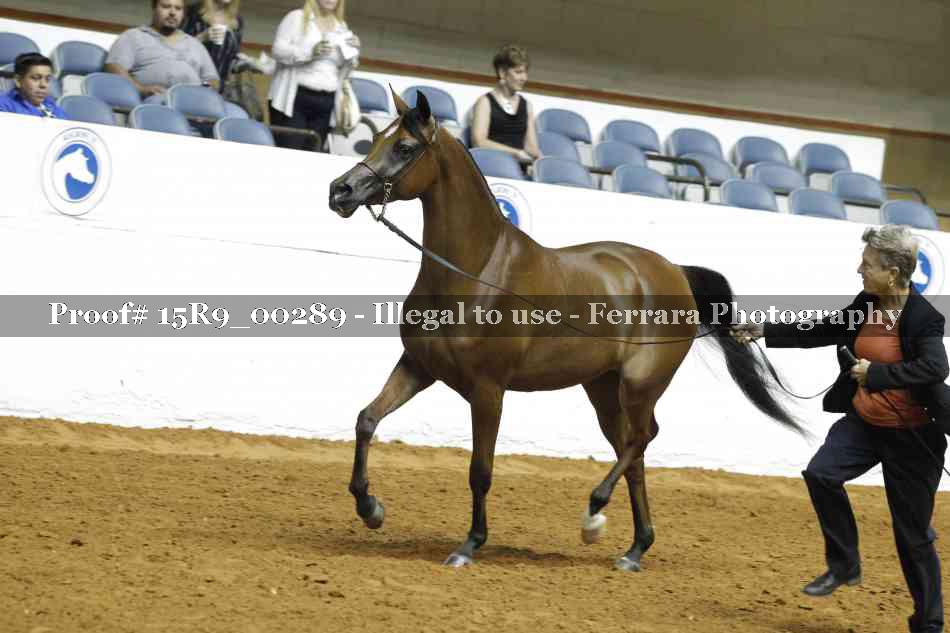 Proof 15R9_00289