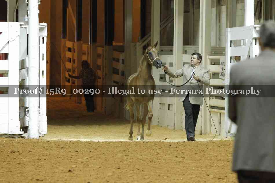 Proof 15R9_00290