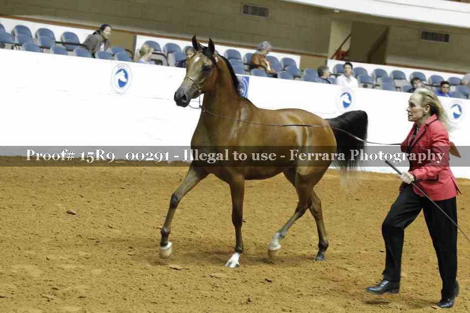 Proof 15R9_00291