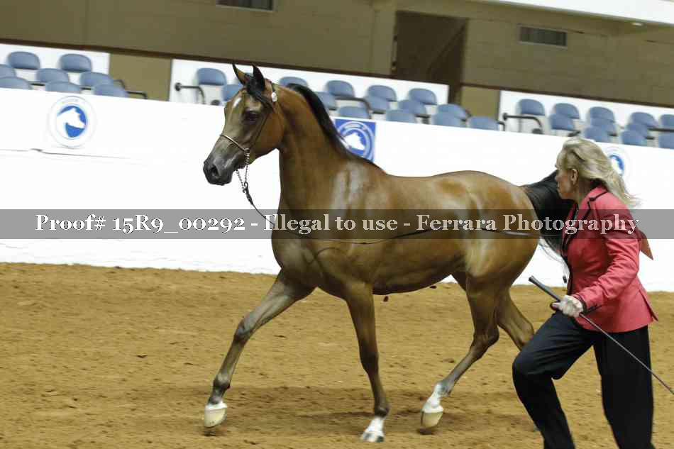 Proof 15R9_00292