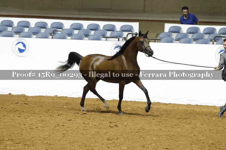 Proof 15R9_00293