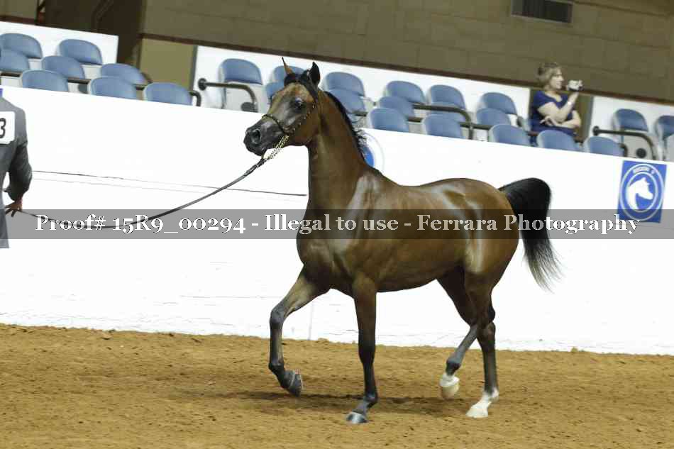 Proof 15R9_00294