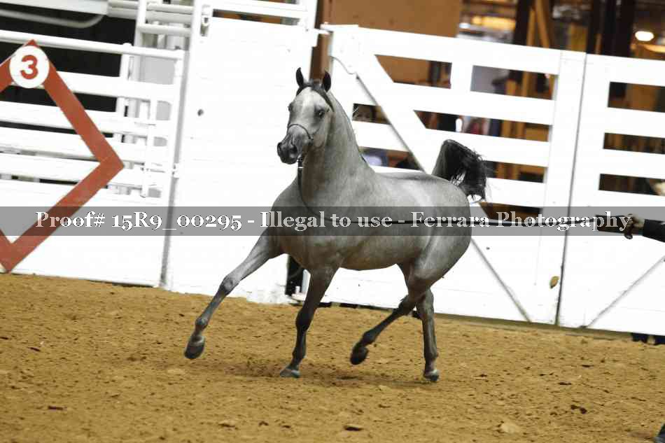 Proof 15R9_00295