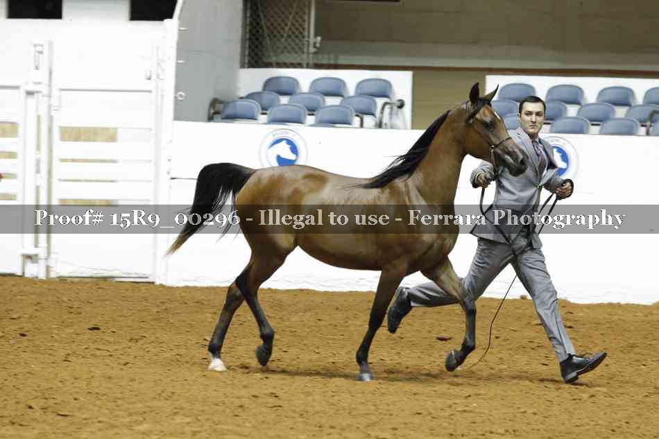 Proof 15R9_00296