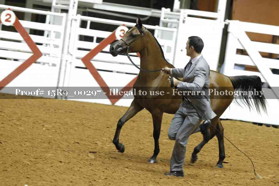 Proof 15R9_00297