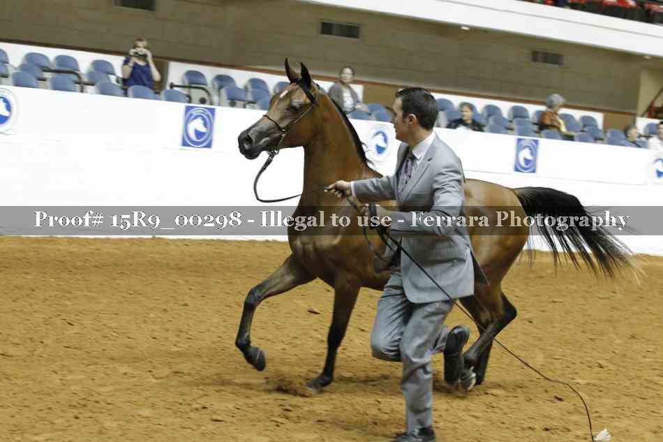 Proof 15R9_00298