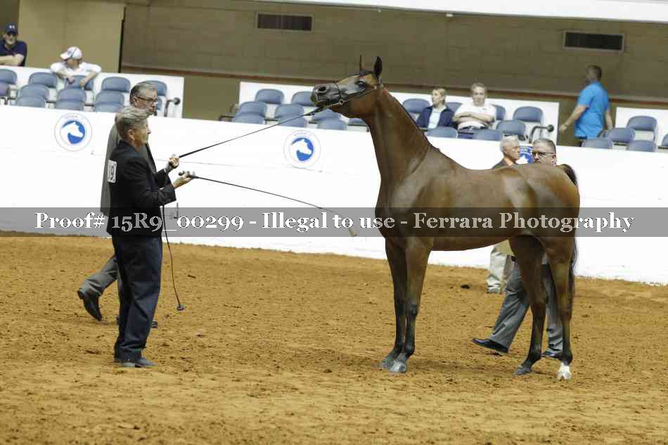 Proof 15R9_00299