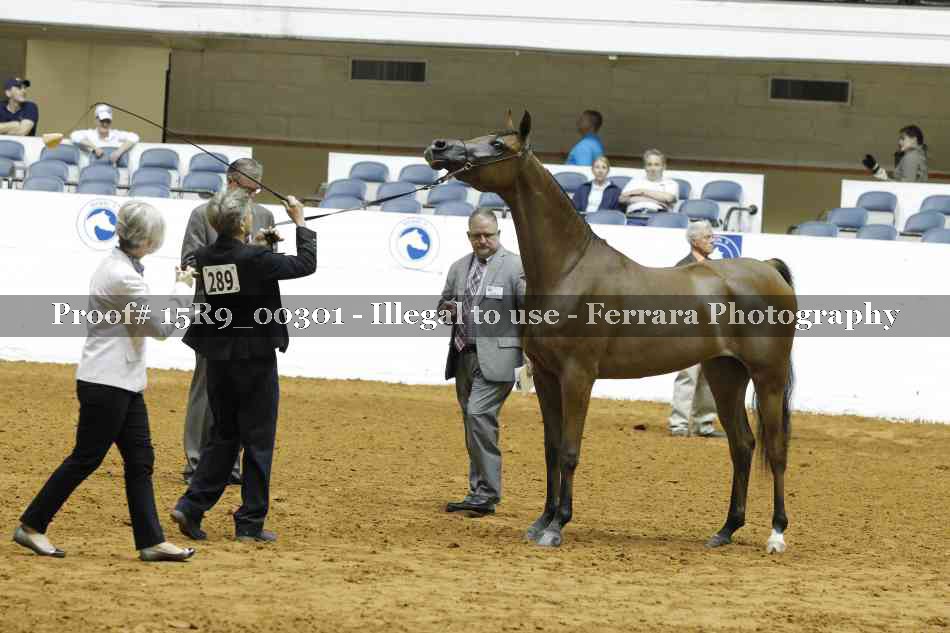 Proof 15R9_00301